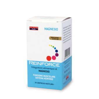 Reinforce Magnesio Mastic. 30cpr
