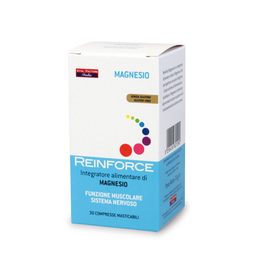 Reinforce Magnesio Mastic. 30cpr