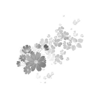 Pianta Off.Biancospino Fiori F. kg